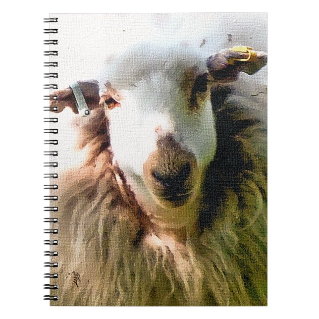 CUADERNO OVEJAS CUIDADAS (Frente)