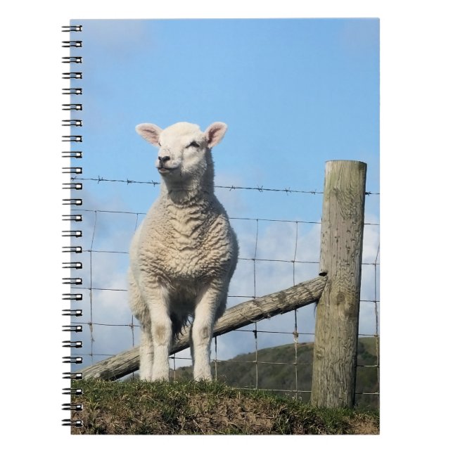 CUADERNO OVEJAS CUIDADAS (Frente)