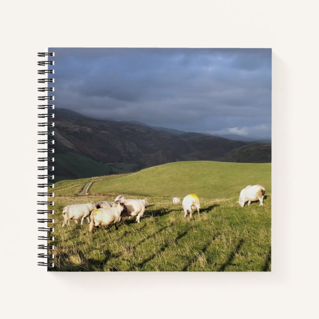 CUADERNO OVEJAS DE MONTAÑA (Anverso)