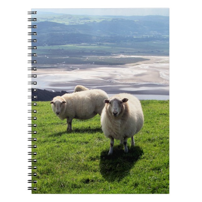 CUADERNO OVEJAS DE MONTAÑA BELSH (Frente)