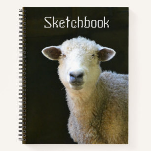 Cuaderno Ovejas En El Campo