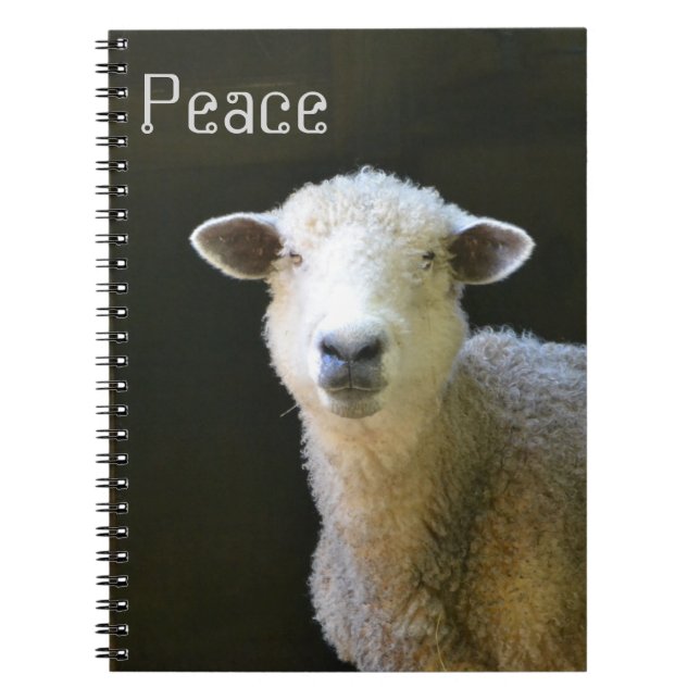 Cuaderno Ovejas pacíficas (Frente)