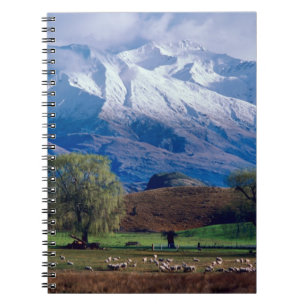 Cuaderno Ovejas pastando bajo el Harris coronado de nieve