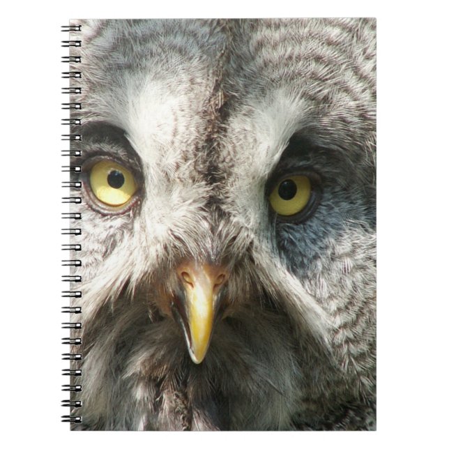 Cuaderno Owl Notebok (Frente)