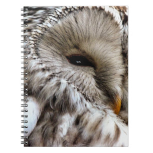CUADERNO OWLS