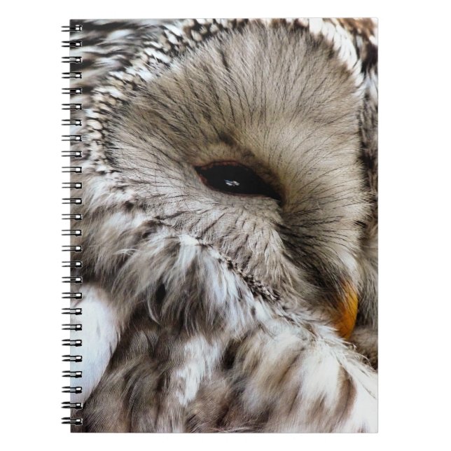 CUADERNO OWLS (Frente)