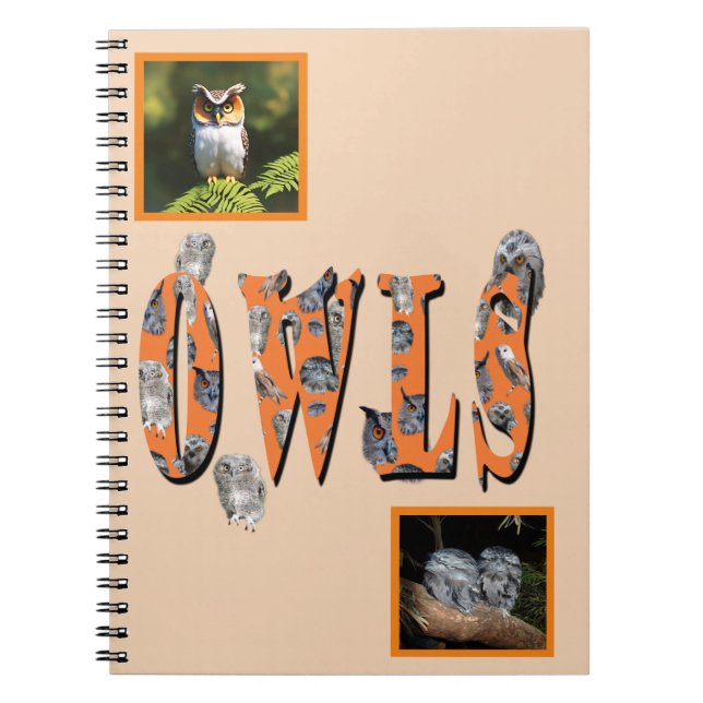 Cuaderno Owls Es El Nombre, (Frente)