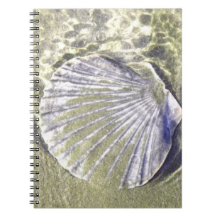 Cuaderno Oyster Shell Underwater