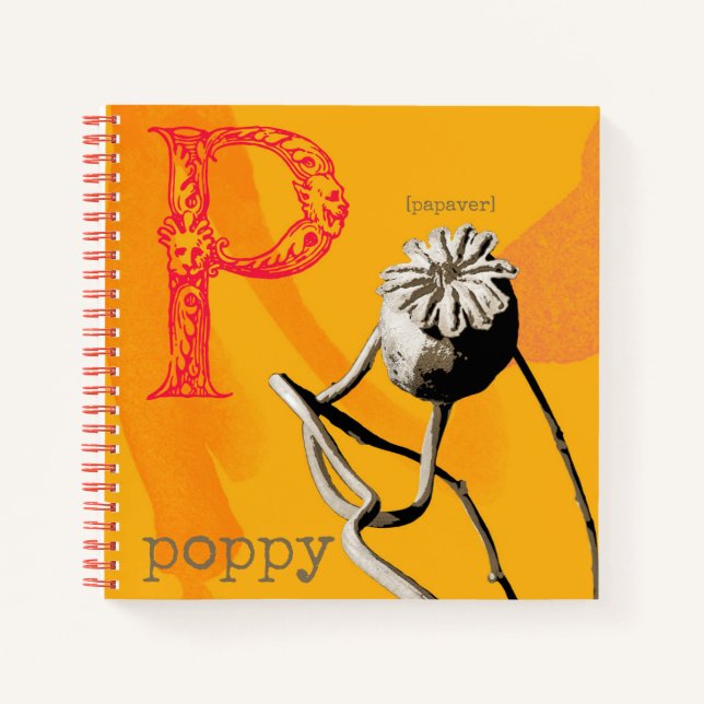 Cuaderno P es para Poppy (Anverso)