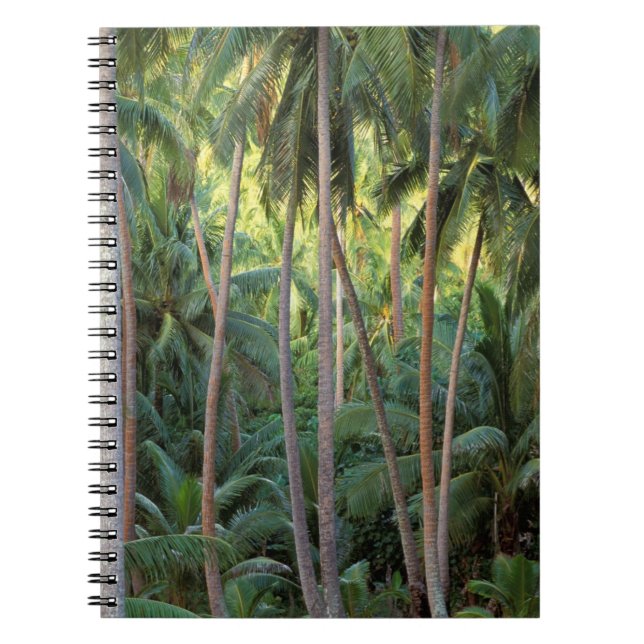 Cuaderno Pacífico Sur, Polinesia Francesa, Bora Bora. (Frente)