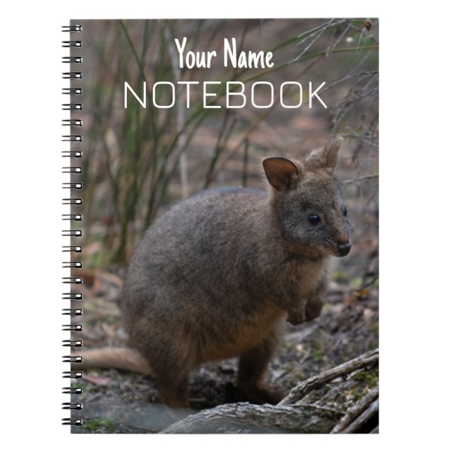 Cuaderno Pademelon (Frente)
