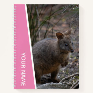 Cuaderno Pademelon, Australia, Animal Cute, Rosa