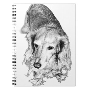 Cuaderno Páginas con Presencia – Dachshund de Pelo Largo