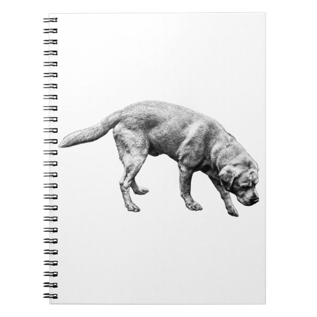 Cuaderno Páginas de devoción (Frente)