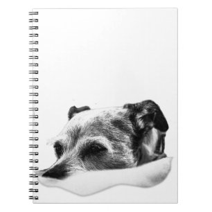 Cuaderno Páginas de la calma