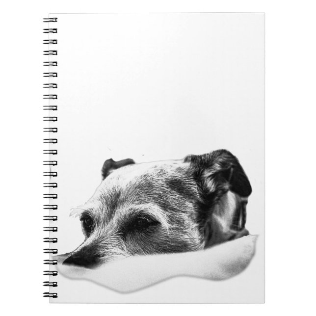 Cuaderno Páginas de la calma (Frente)