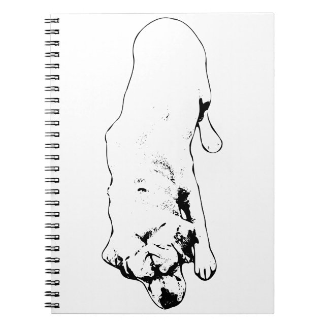 Cuaderno Páginas de respeto (Frente)