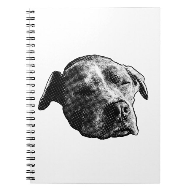 Cuaderno Páginas sin Nieve (Frente)
