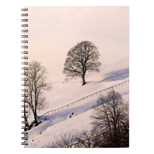 CUADERNO PAISAJE (Frente)