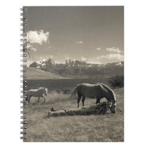 Cuaderno Paisaje con caballos