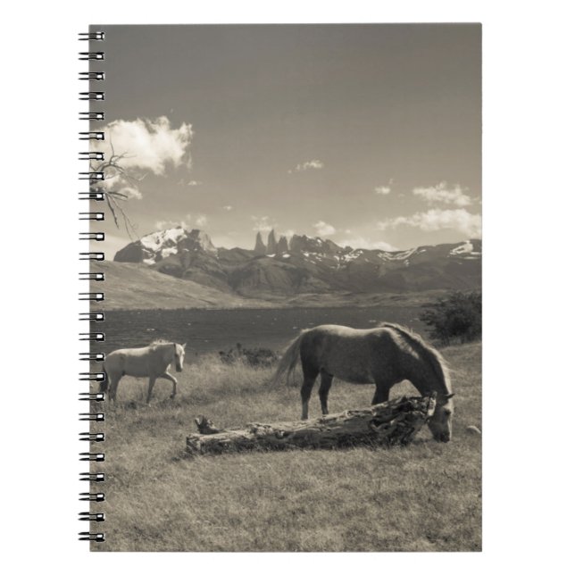Cuaderno Paisaje con caballos (Frente)