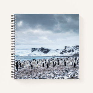 Cuaderno Paisaje de la colonia penguin de Chinstrap
