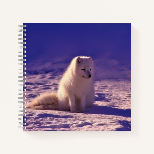 Cuaderno Paisaje de nieve en invierno de Fox Ártica (Anverso)