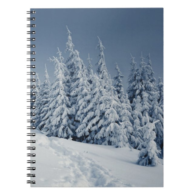 Cuaderno Paisaje del invierno (Frente)