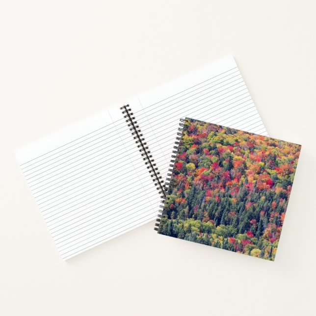 Cuaderno Paisaje forestal de otoño (Interior)