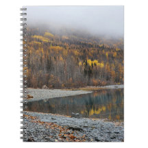 Paisaje forestal de otoño dorado 