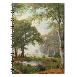 Cuaderno Paisaje Forestal por la noche