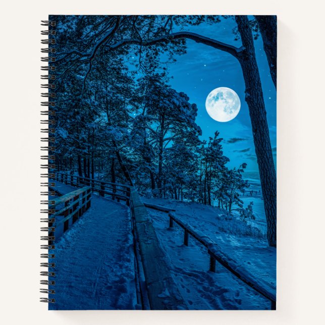 Cuaderno Paisaje invernal con pinar cubierto de nieve (Anverso)