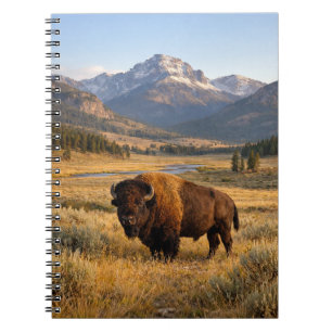 Cuaderno Paisaje montañoso del bisonte americano