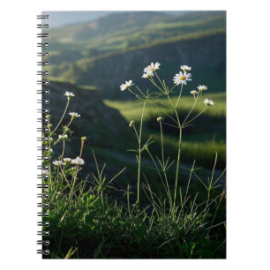 Cuaderno Paisaje Natural de Margarita Blanca Floral