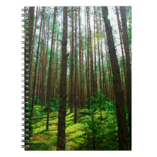 Cuaderno Paisaje natural Paisaje paisajístico Árboles fores