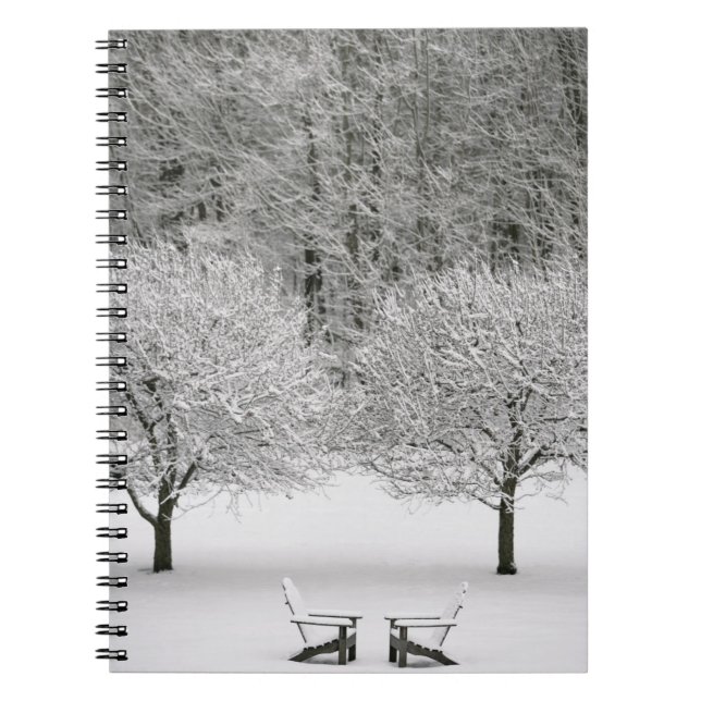 Cuaderno Paisaje nevado (Frente)