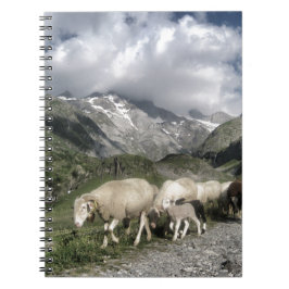 Cuaderno paisaje pirénico