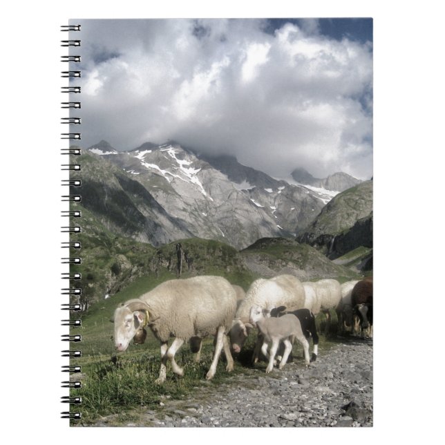 Cuaderno paisaje pirénico (Frente)
