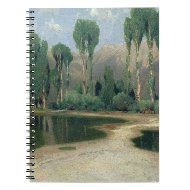 Cuaderno Paisaje suizo (Frente)