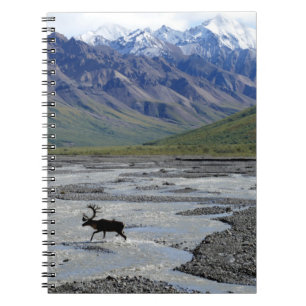 CUADERNO PAISAJE TRANQUILO CON REINADOR