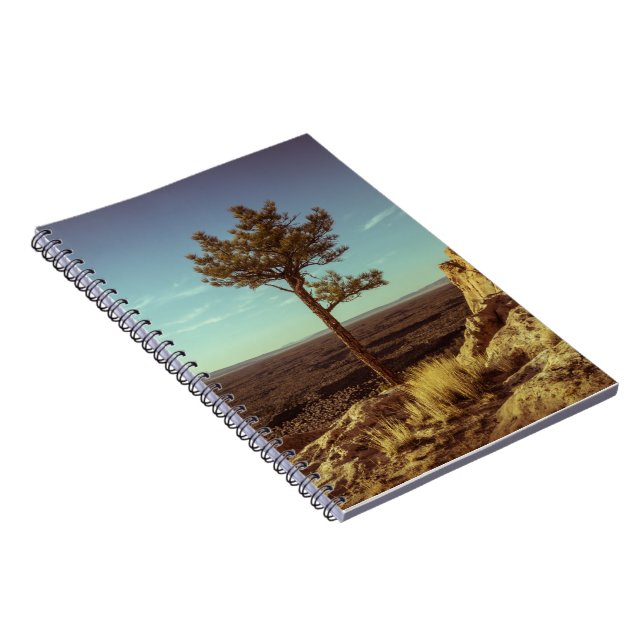 Cuaderno Paisaje Vintage USA (Lado Derecho)