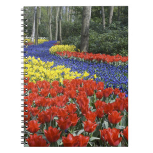Cuaderno Países Bajos, Holanda, Lisse, Jardines Keukenhof