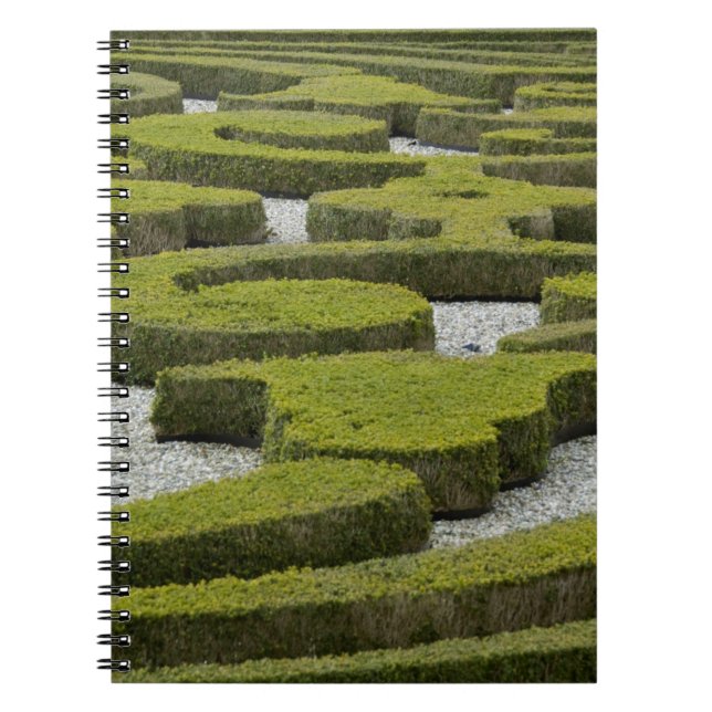 Cuaderno Países Bajos (también conocido como Holanda), Apel (Frente)