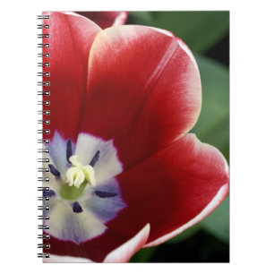 Cuaderno Países Bajos (también conocido como Holanda), Liss