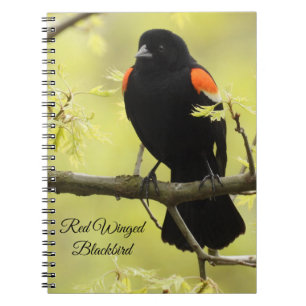 Cuaderno Pajarera alga roja