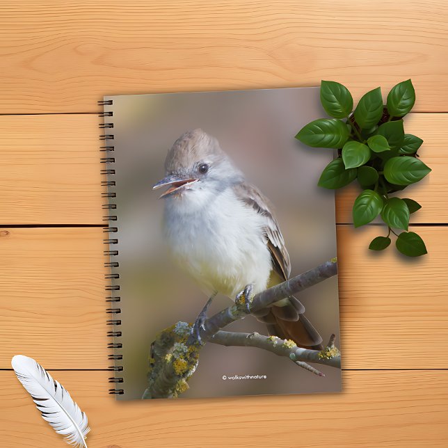Cuaderno Pajarito con picante de ceniza en rama (WWN Ash-Throated Flycatcher on Branch Notebook Cover Photo)