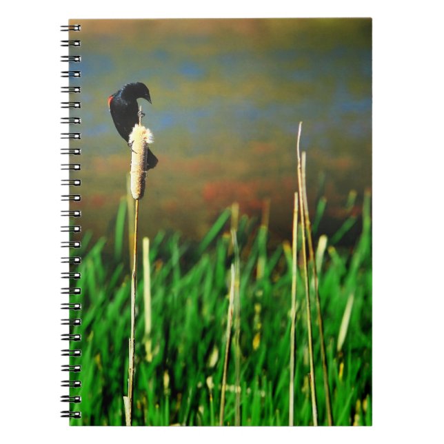 Cuaderno Pajarito Rojo en una cola (Frente)