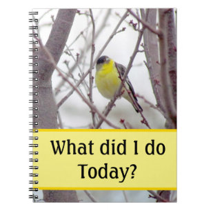 Cuaderno - Pájaro Amarillo en Ramas de Árbol
