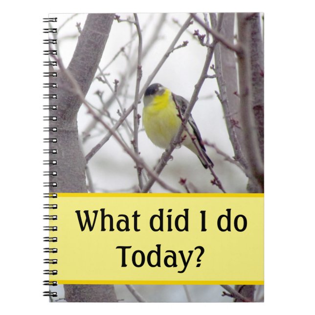 Cuaderno - Pájaro Amarillo en Ramas de Árbol (Frente)