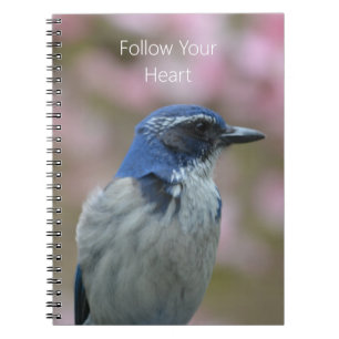 Cuaderno Pájaro azul (mi fotografía)